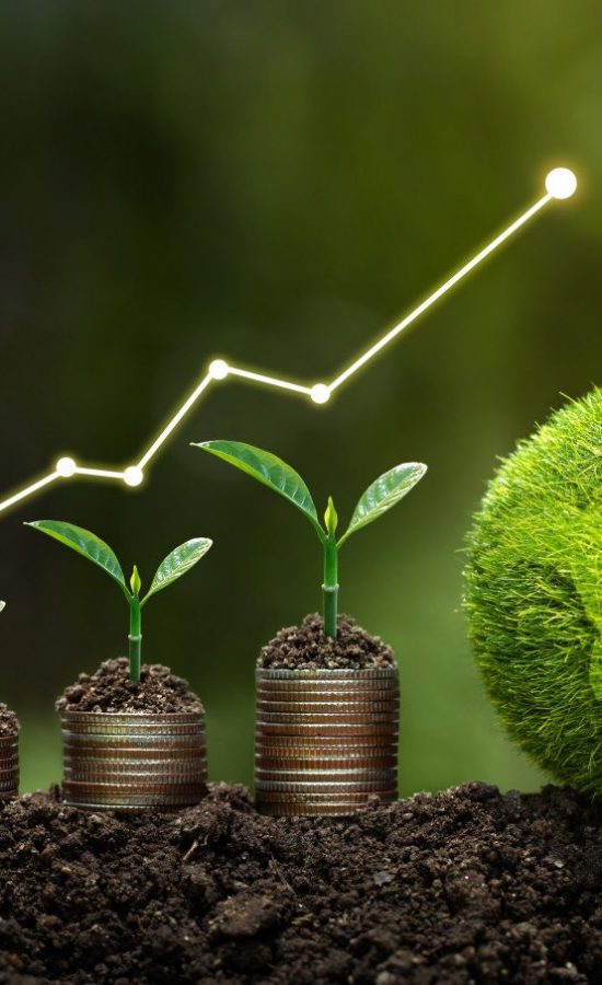 financing Treatment Financing